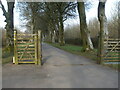 Gates on the Limestone Link