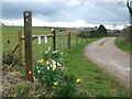 The West Mendip Way at Higher Pitts Farm