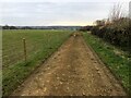 Track to the gallops