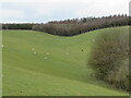 Across the head of Pond Slack