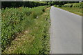 Roadside verge, Wilbee Rd