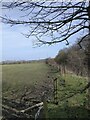 View from beside the old railway at Leadgate