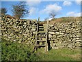 SD2780 : Stile on The Cumbria Way by Adrian Taylor