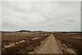 NH6992 : View East along Moorland Track near Spinningdale, Sutherland by Andrew Tryon