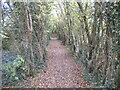 Public footpath north of Southwell