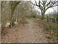 Path along edge of Pondtail Shaw