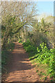 John Musgrave Heritage Trail approaching Marldon Road