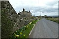 Passing Plum Tree Cottage