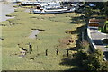 Marshes by the Medway