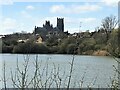 TL5580 : Roswell Pits and Ely cathedral by Richard Humphrey
