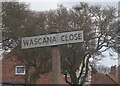 Wascana Close off Anlaby Park Road South, Hull