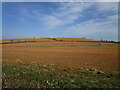 View towards Wheat Hill