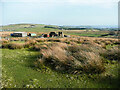 Ruin off Foreside Lane, Denholme