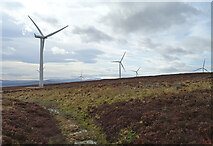 NJ3546 : Hill of Towie Wind Farm by Anne Burgess
