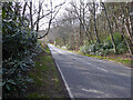 Forest Road towards Colgate and Horsham