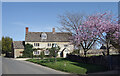 House and Blossom, Southrop