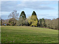 Grass field near Buchan House