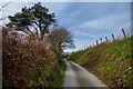 Challacombe : Country Lane