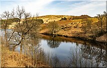 SK0174 : Errwood Reservoir by Peter McDermott