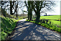 Shadows along Aghintain Road