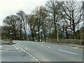 Puffin crossing on Harrogate Road