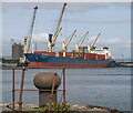J3576 : The 'Yangtze Dignity' at Belfast by Rossographer