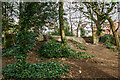 WW2 Air Raid Shelters of Poole - Canford Cliffs Park (2)