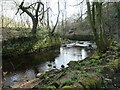 Stone wall on the east bank of Hebden Water