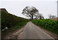 Lyngate Road a Quiet lane