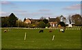 Carr Green Farm