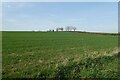 Farmland near Lythe Bank