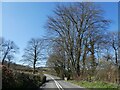 Bridge on A377