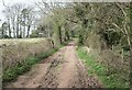 Track and bridleway