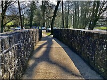 H4772 : Tree shadows along Cranny footbridge by Kenneth  Allen