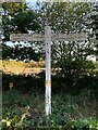 Direction Sign ? Signpost on the B1352 in Ramsey