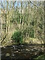 Trees and houses above Hebden Water