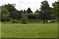 Large pond, Gennings Farm