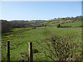 Large sheep pastures in the valley bottom