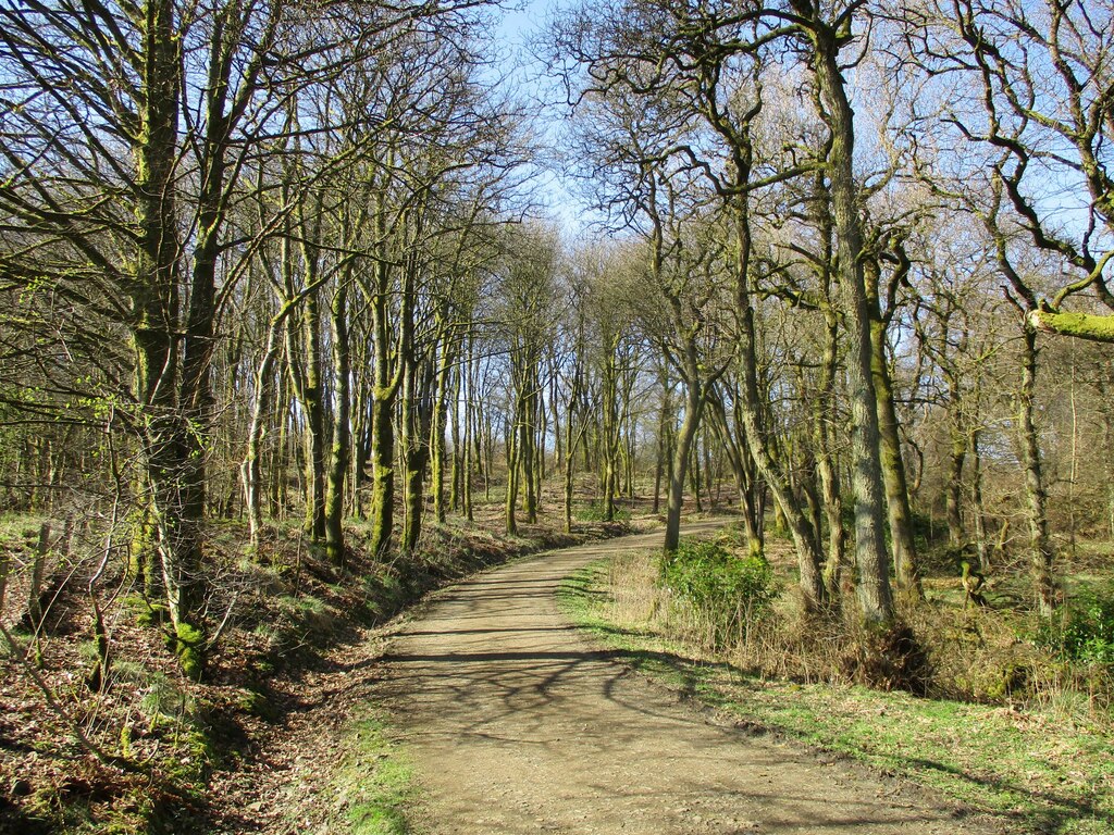 Path below Bar Hill © Alan O'Dowd cc-by-sa/2.0 :: Geograph Britain and ...