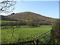 View to Cefn Gunthly from the valley of the West Onny River