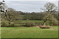 Footpath across caravan field, near Whiteparish