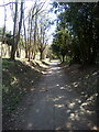 Path in Grays New Cemetery