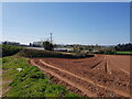 Field next to Crown Lane, Chadwick, Worcestershire