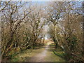 Bridleway, Llanddona