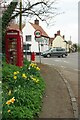 Daffs, Defibrillator and Book Swap