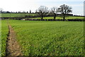 Footpath towards Welton Grange