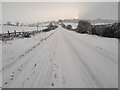 NZ0657 : Snowy morning on the road to Whittonstall by Clive Nicholson