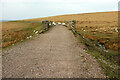 SX5773 : Sheep on the railway, Dartmoor Way by Derek Harper