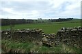 Footpath to Yates House