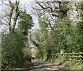 View down the lane